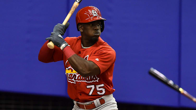 St Louis Cardinals v Toronto Blue Jays