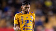 Tigres UANL v Puebla - Torneo Grita Mexico C22 Liga MX