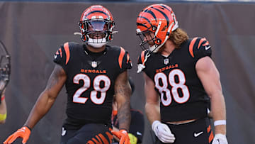 Carolina Panthers v Cincinnati Bengals