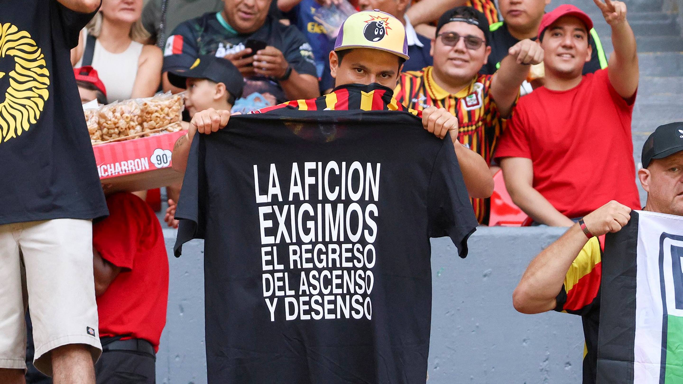 Presentan en el Senado iniciativa para obligar al regreso del ascenso y descenso