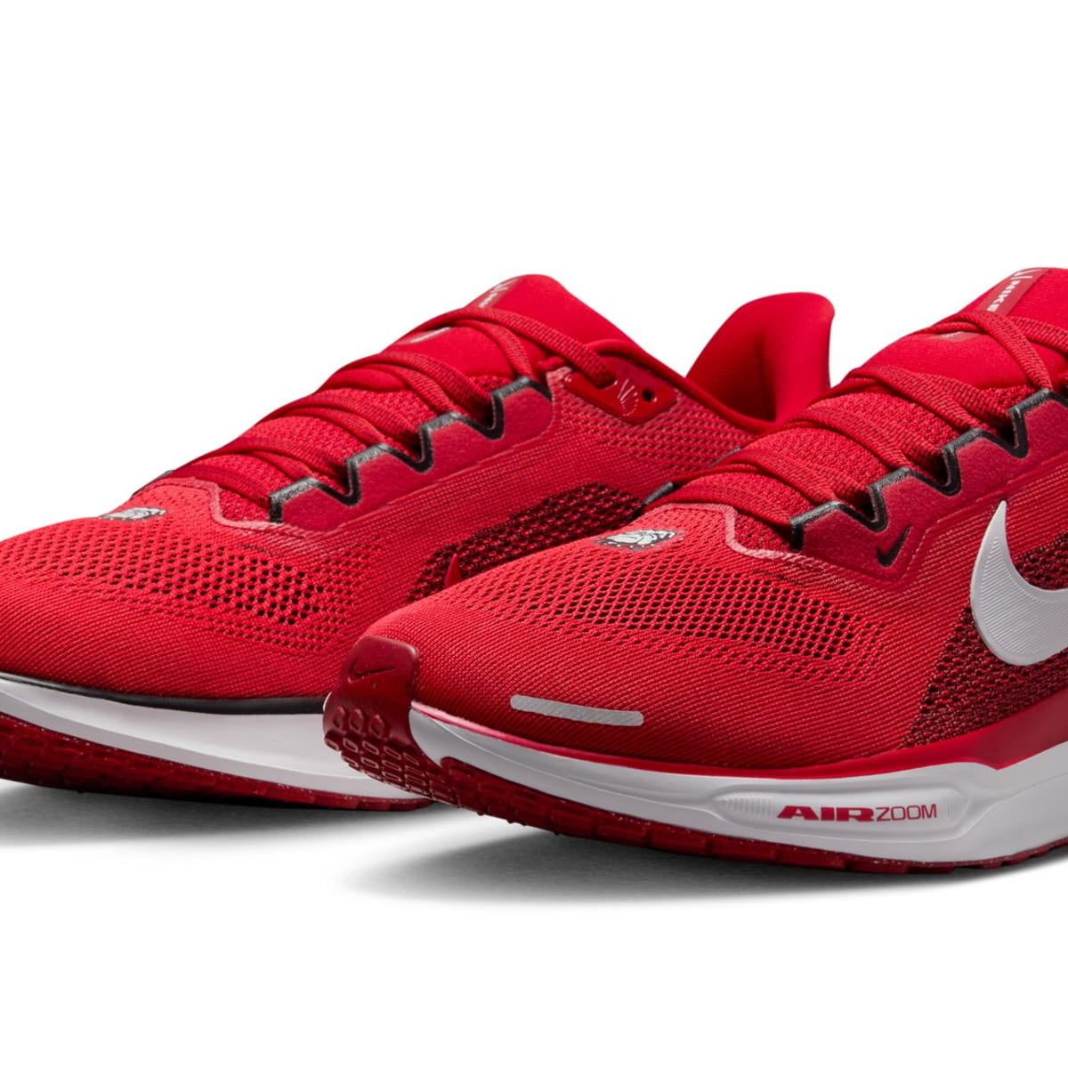 Nike Air Zoom Georgia Bulldogs shoes just dropped