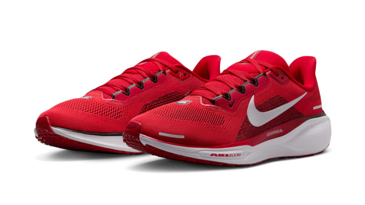 Georgia Bulldogs Nike Pegasus 41