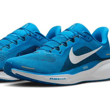 Carolina Panthers Nike Zoom Pegasus 41