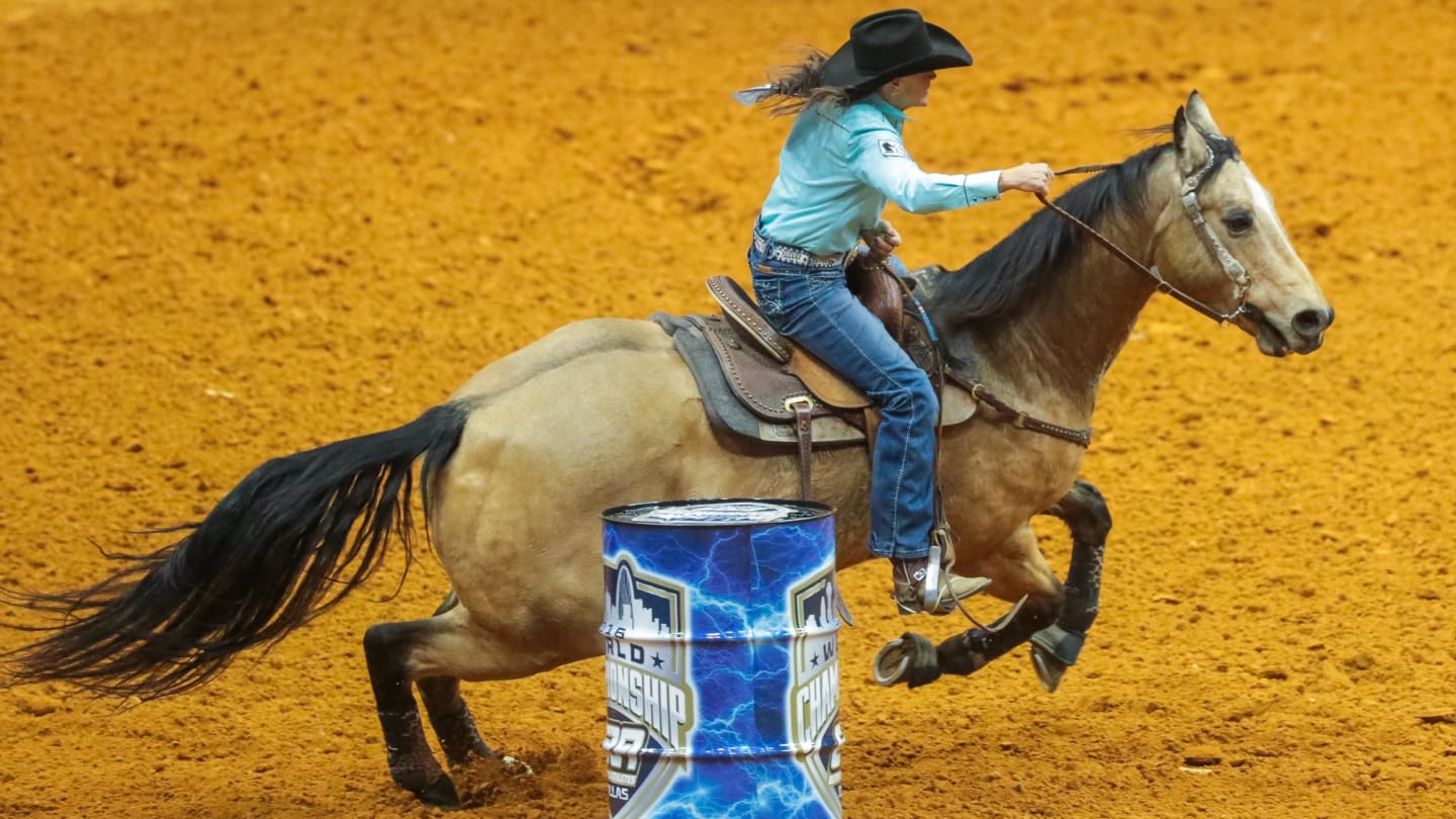 Famous Barrel Horse is honored despite still being at the peak of his career