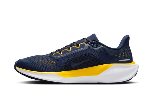 Michigan Wolverines Nike Pegasus 41