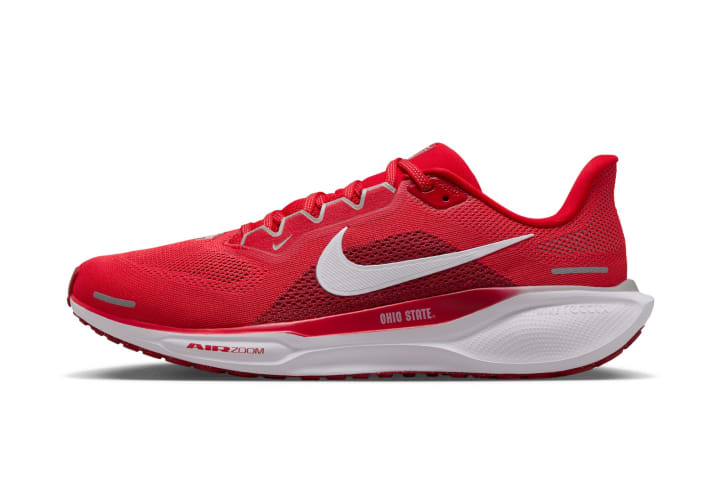 Ohio State Nike Pegasus 41