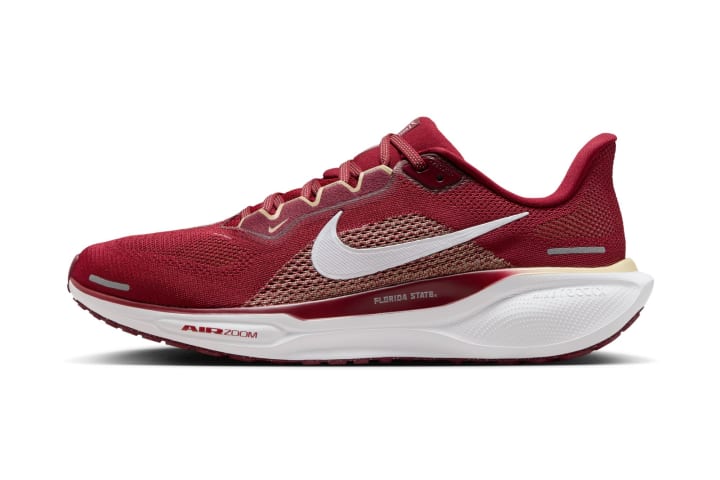 FSU Nike Pegasus 41