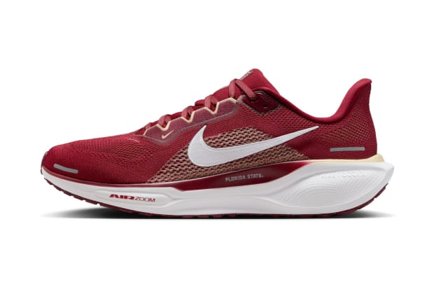 Florida State Seminoles Nike Pegasus 41