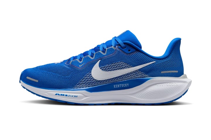 Kentucky Nike Pegasus 41