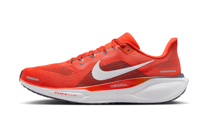 Virginia Nike Pegasus 41