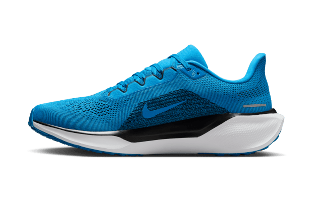 Carolina Panthers Nike Zoom Pegasus 41