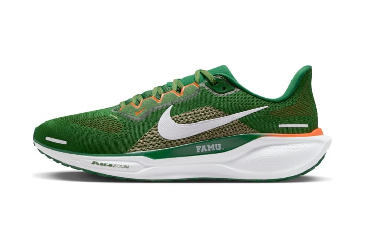 FAMU Nike Pegasus 41