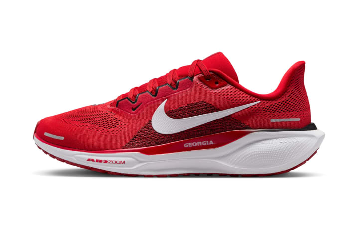 Georgia Nike Pegasus 41