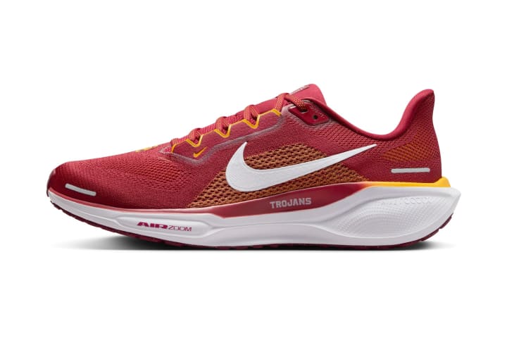 USC Nike Pegasus 41