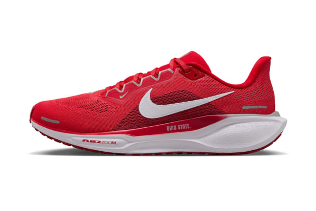 Ohio State Buckeyes Nike Pegasus 41