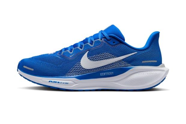 Kentucky Wildcats Nike Pegasus 41