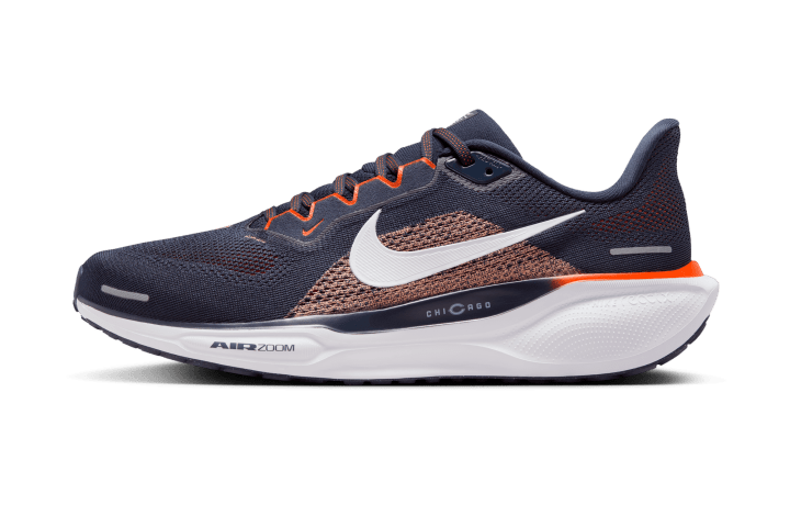 Chicago Bears Nike Pegasus 41