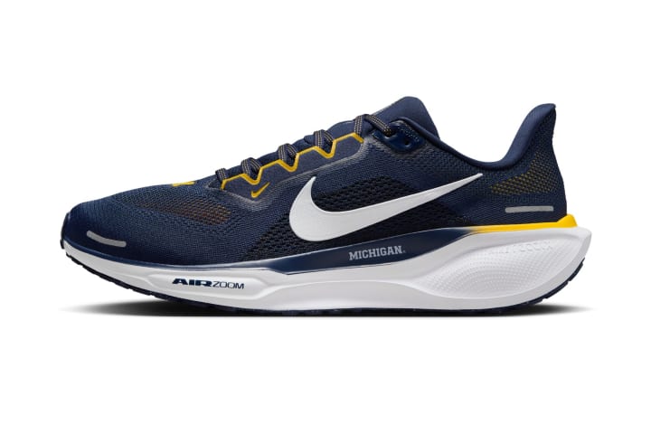 Michigan Nike Pegasus 41