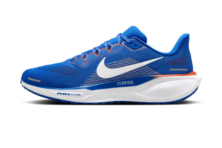 Florida Nike Pegasus 41