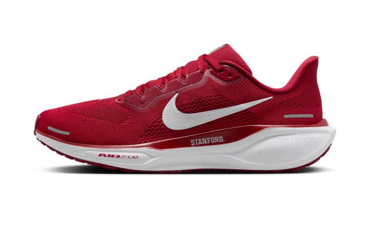 Stanford Nike Pegasus 41