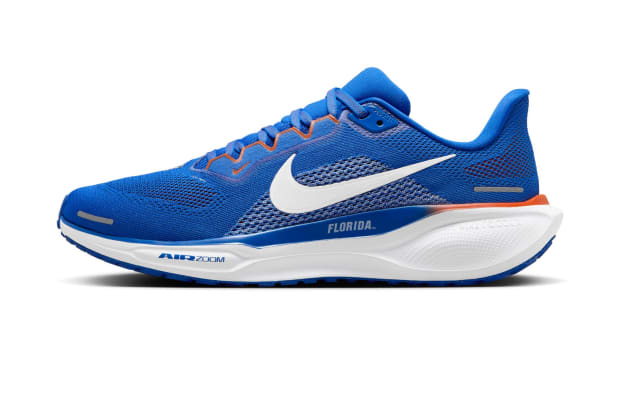 Florida Gators Nike Pegasus 41