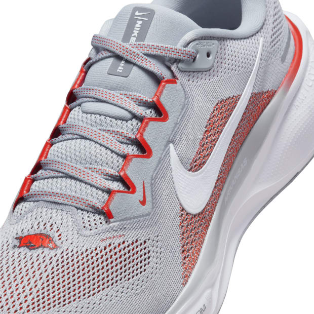 Arkansas Razorbacks Nike Pegasus 41