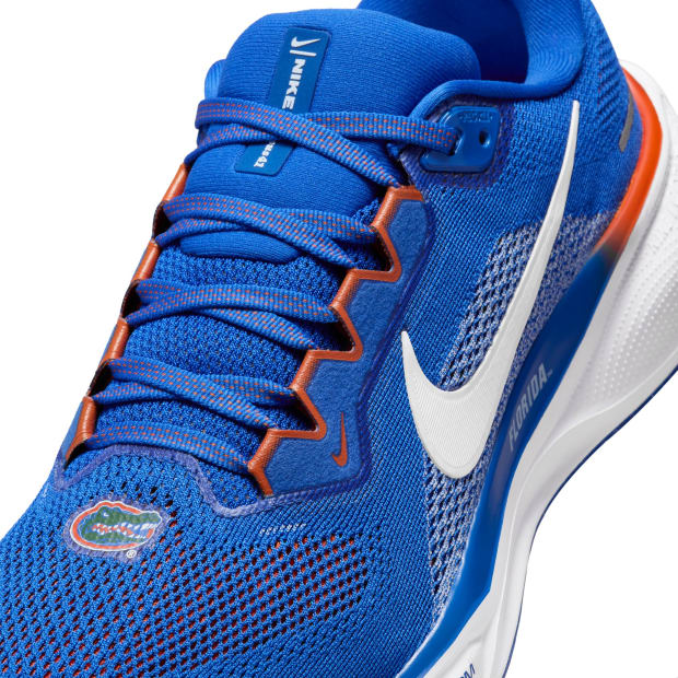 Florida Gators Nike Pegasus 41