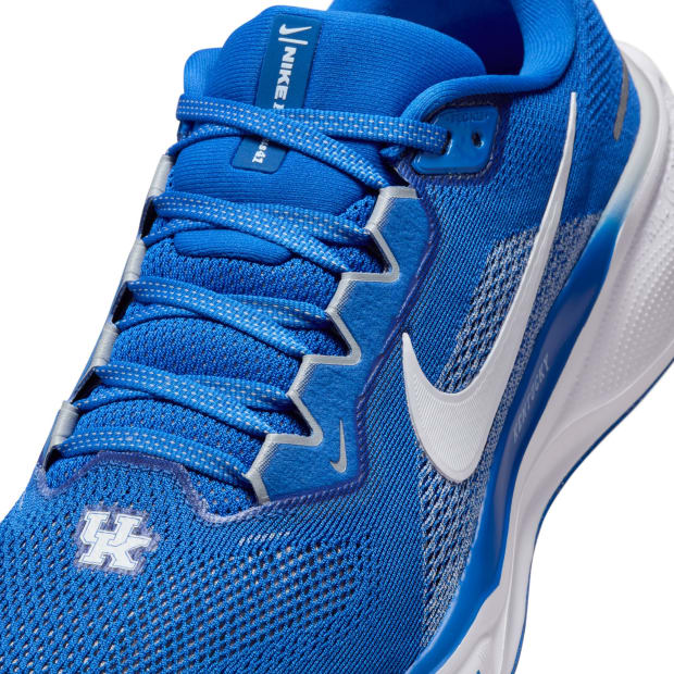 Kentucky Wildcats Nike Pegasus 41