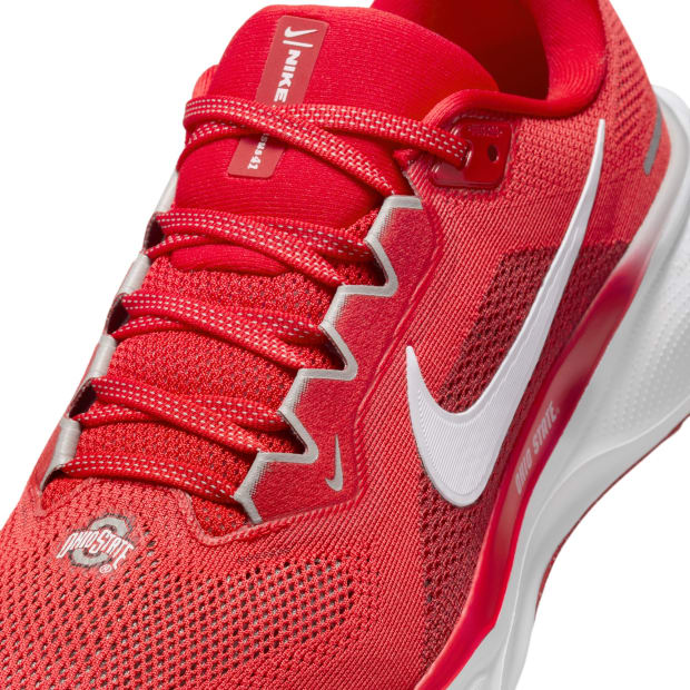 Ohio State Buckeyes Nike Pegasus 41