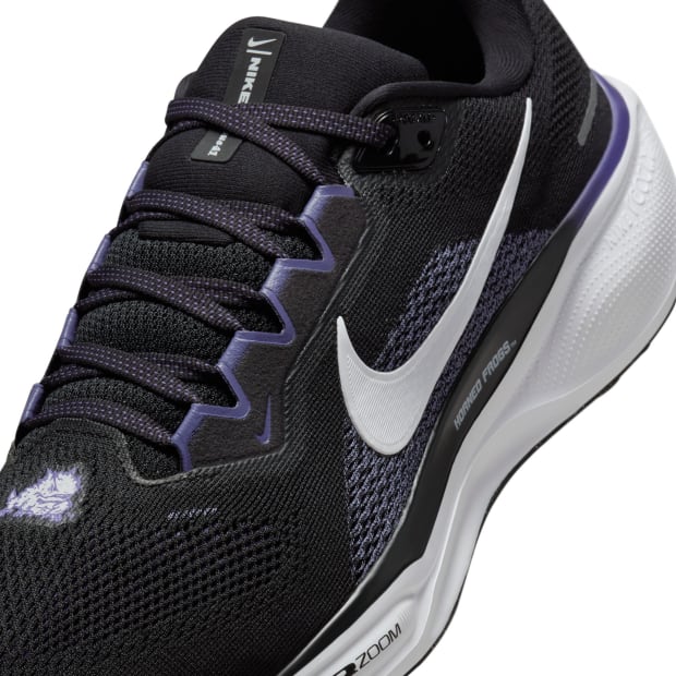 TCU Horned Frogs Nike Pegasus 41