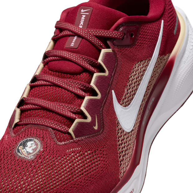 Florida State Seminoles Nike Pegasus 41