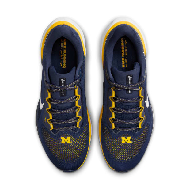 Michigan Wolverines Nike Pegasus 41