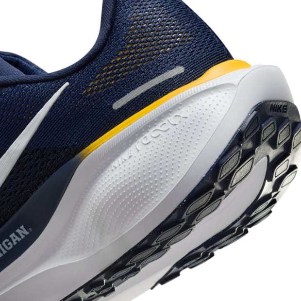 Michigan Wolverines Nike Pegasus 41