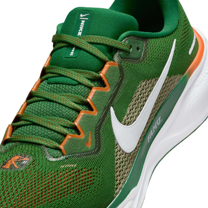 FAMU Nike Pegasus 41