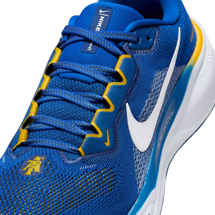 NC AT&T Nike Pegasus 41