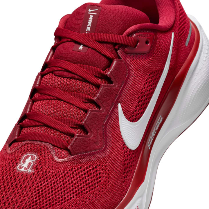 Stanford Nike Pegasus 41