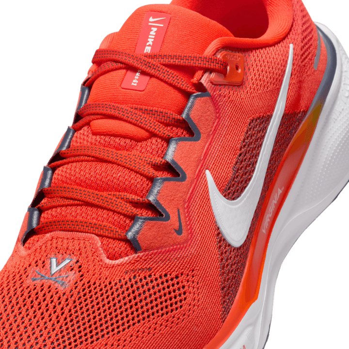 Virginia Nike Pegasus 41