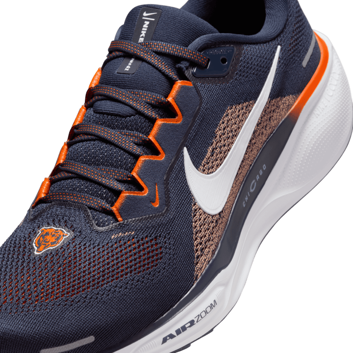 Chicago Bears Nike Pegasus 41