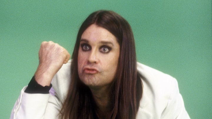 Lester Cohen Archives