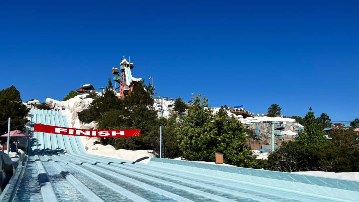Guests can race each other down Toboggan Racers at Disney's Blizzard Beach.