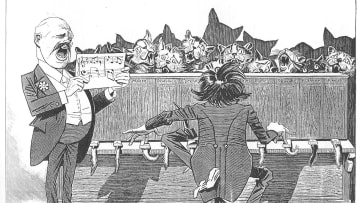 Illustration of a katzenklavier from the satirical magazine 'Kladderadatsch' circa 1897.