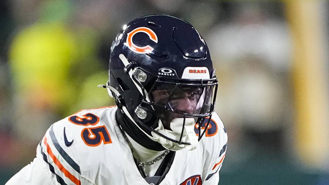 Dec 7, 2025; Green Bay, Wisconsin, USA;  Chicago Bears safety C.J. Gardner-Johnson (35) during the game against the Green Bay Packers at Lambeau Field. Mandatory Credit: Jeff Hanisch-Imagn Images