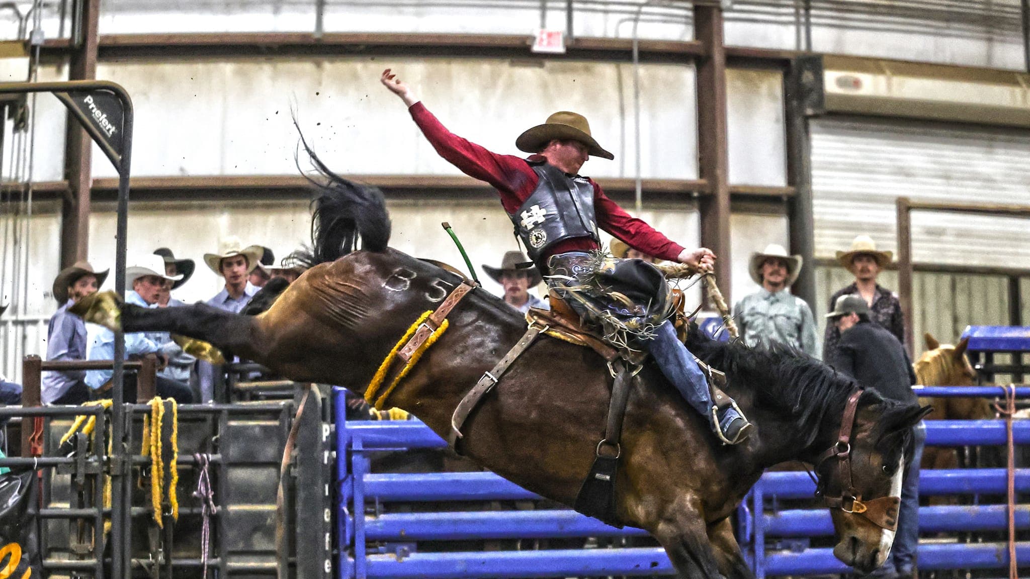 Jake Finlay rode Dakota Rodeo's Bobs Alibi, delivering an impressive 89-point ride for the win. 