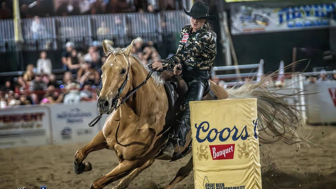 Hayle Gibson-Stillwell and Buncha Dinero at Redding (Calif.) Rodeo 2026 Hayle Gibson-Stillwell and Buncha Dinero at Redding (Calif.) Rodeo 2026