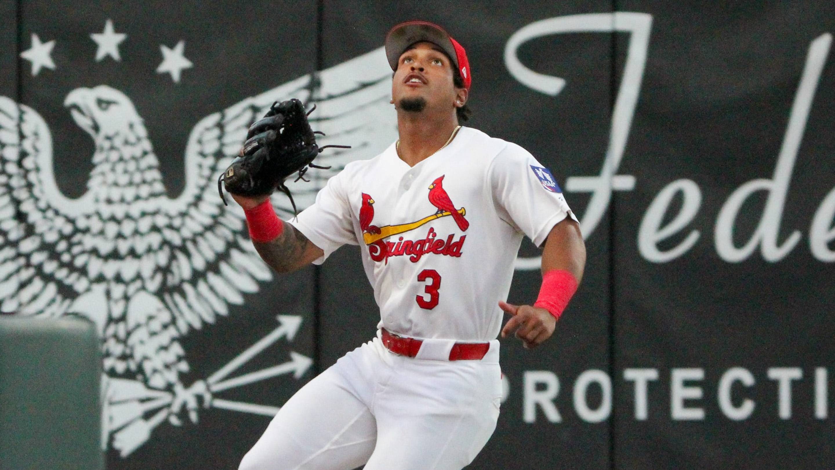 Another Cardinals Top Prospect Who Could Be a Star in 2027
