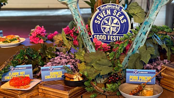 Seven Seas Food Festival food offerings