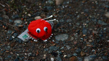 How far the Weepul has fallen.