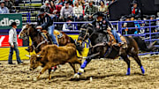 Will Lummus and Swamper 2024 NFR