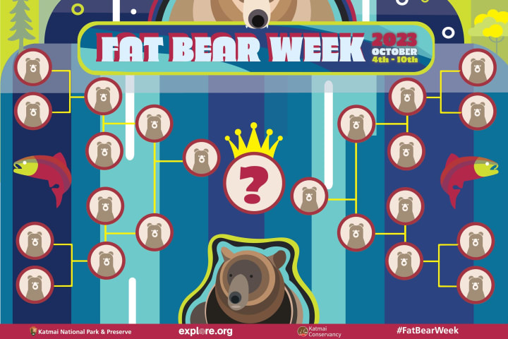Illustrated bracket for Fat Bear Week 2023.