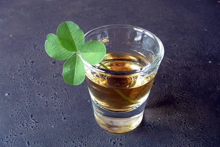 Shot glass full of whisky with a four leaf clover as a lucky garnish. Focus is on clover petals.